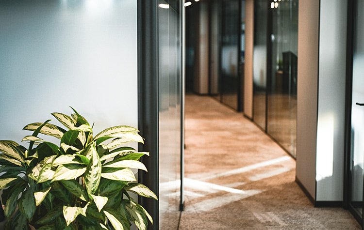 Office corridor with carpet and open, barrier-free glass door