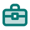 Icon - Valise verte